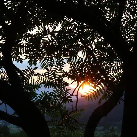 Casa de Férias Pipp *